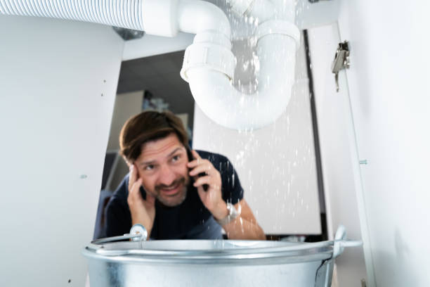 Best Local Plumber Services  in New Carrollton, MD